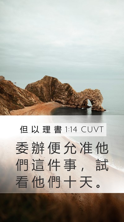 但 以 理 書 1:14 CUVT Mobile Phone Wallpaper - 委 辦 便 允 准 他 們 這 件 事 ， 試 - Mobile Bible Verse Wallpaper
