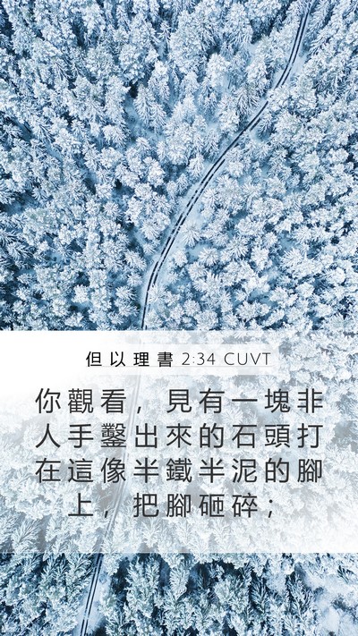 但 以 理 書 2:34 CUVT Bible Verse Image