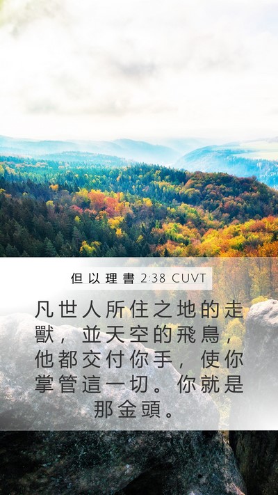 但 以 理 書 2:38 CUVT Bible Verse Image