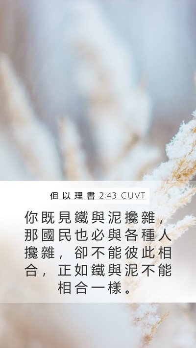 但 以 理 書 2:43 CUVT Mobile Phone Wallpaper - 你 既 見 鐵 與 泥 攙 雜 ， 那 國 民 - Mobile Bible Verse Wallpaper
