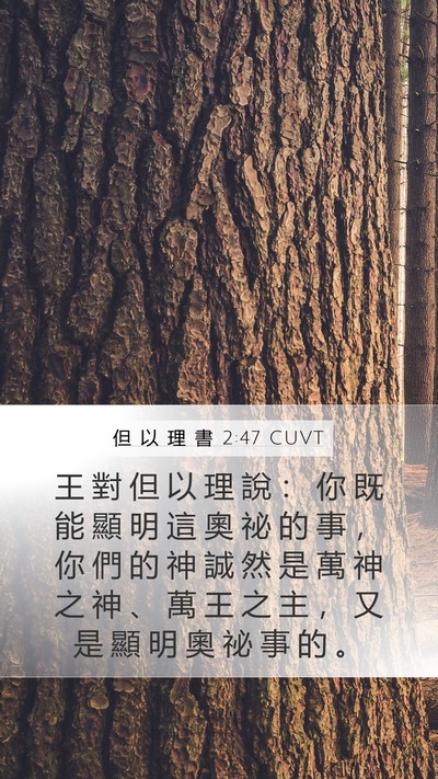 但 以 理 書 2:47 CUVT Bible Verse Image