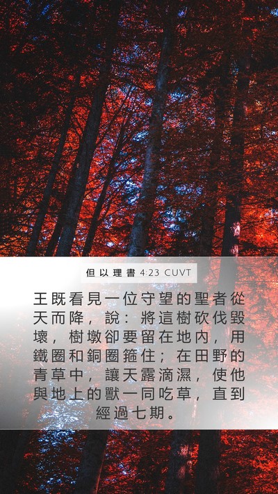 但 以 理 書 4:23 CUVT Bible Verse Image
