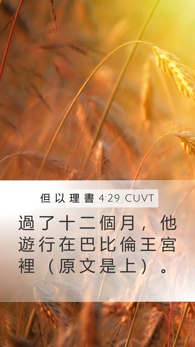 但 以 理 書 4:29 CUVT Bible Verse Image