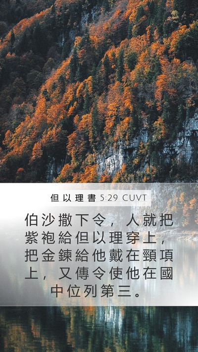 但 以 理 書 5:29 CUVT Bible Verse Image