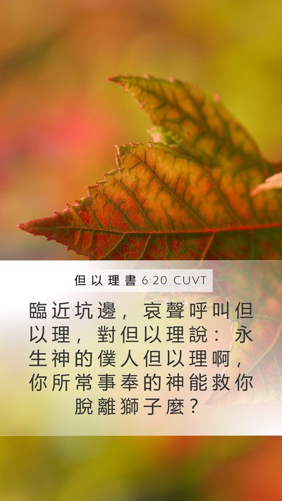 但 以 理 書 6:20 CUVT Bible Verse Image