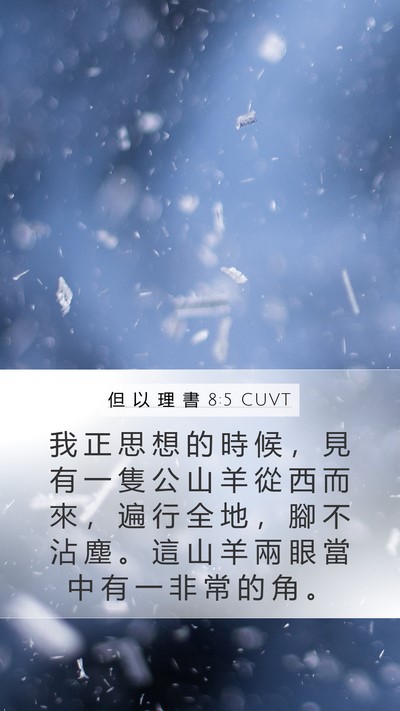 但 以 理 書 8:5 CUVT Bible Verse Image