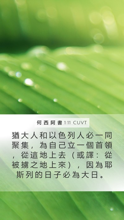 何 西 阿 書 1:11 CUVT Mobile Phone Wallpaper - 猶 大 人 和 以 色 列 人 必 一 同 聚 - Mobile Bible Verse Wallpaper