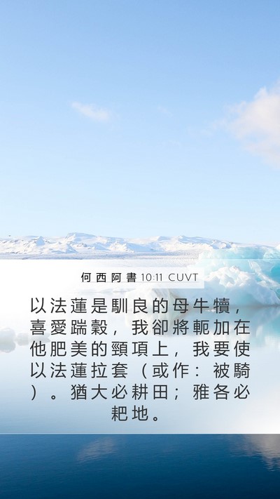 何 西 阿 書 10:11 CUVT Bible Verse Image