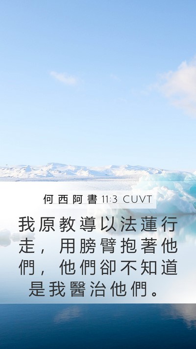 何 西 阿 書 11:3 CUVT Mobile Phone Wallpaper - 我 原 教 導 以 法 蓮 行 走 ， 用 膀 - Mobile Bible Verse Wallpaper