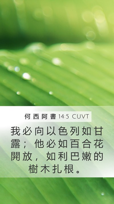 何 西 阿 書 14:5 CUVT Bible Verse Image