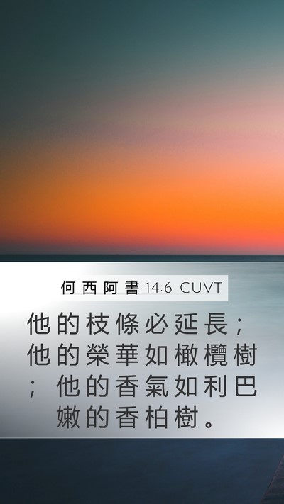 何 西 阿 書 14:6 CUVT Bible Verse Image