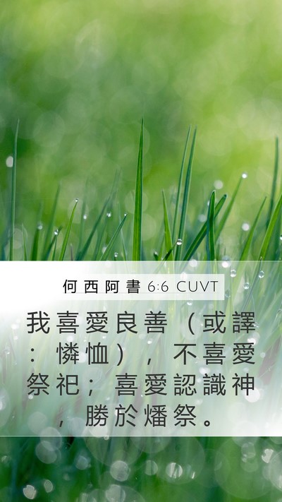 何 西 阿 書 6:6 CUVT Bible Verse Image