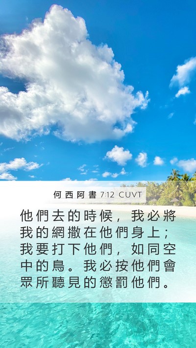 何 西 阿 書 7:12 CUVT Mobile Phone Wallpaper - 他 們 去 的 時 候 ， 我 必 將 我 的 - Mobile Bible Verse Wallpaper