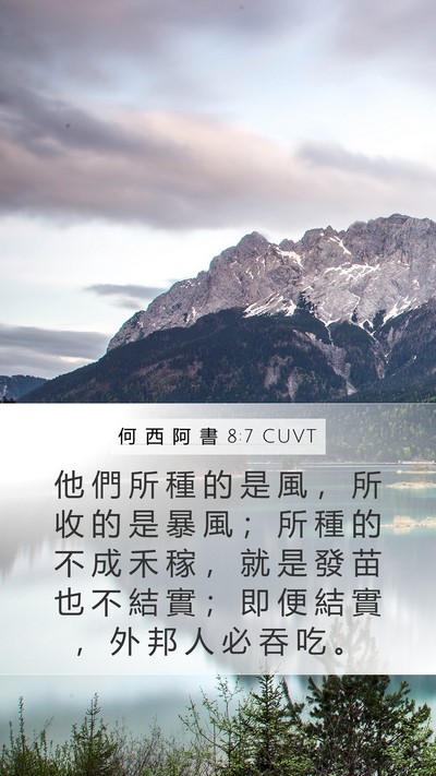 何 西 阿 書 8:7 CUVT Bible Verse Image
