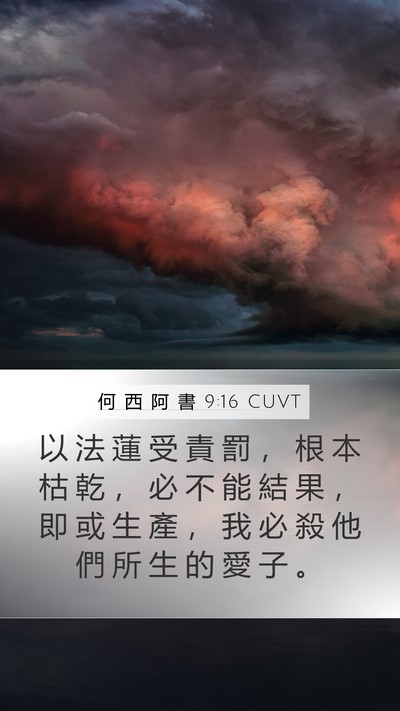 何 西 阿 書 9:16 CUVT Bible Verse Image