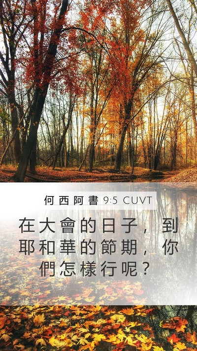 何 西 阿 書 9:5 CUVT Bible Verse Image