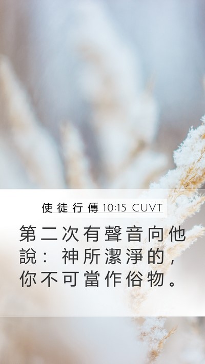使 徒 行 傳 10:15 CUVT Mobile Phone Wallpaper - 第 二 次 有 聲 音 向 他 說 ： 神 所 - Mobile Bible Verse Wallpaper