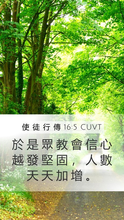 使 徒 行 傳 16:5 CUVT Bible Verse Image