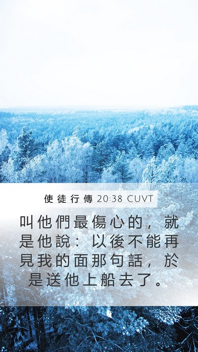 使 徒 行 傳 20:38 CUVT Bible Verse Image