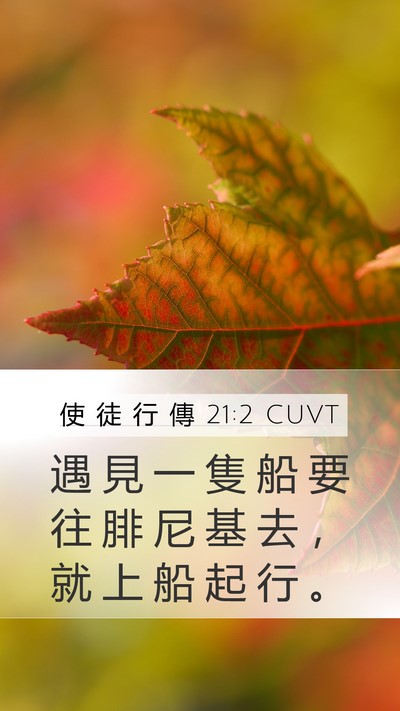 使 徒 行 傳 21:2 CUVT Mobile Phone Wallpaper - 遇 見 一 隻 船 要 往 腓 尼 基 去 ， - Mobile Bible Verse Wallpaper