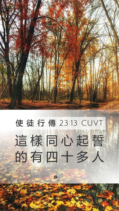 使 徒 行 傳 23:13 CUVT Mobile Phone Wallpaper - 這 樣 同 心 起 誓 的 有 四 十 多 人 - Mobile Bible Verse Wallpaper