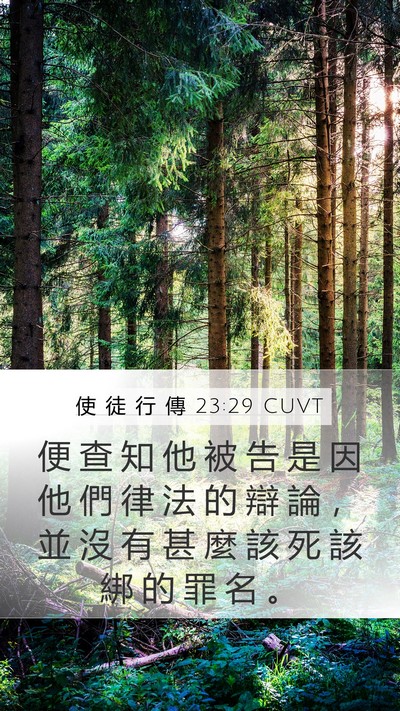 使 徒 行 傳 23:29 CUVT Bible Verse Image