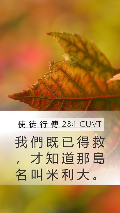 使 徒 行 傳 28:1 CUVT Mobile Phone Wallpaper - 我 們 既 已 得 救 ， 才 知 道 那 島 - Mobile Bible Verse Wallpaper