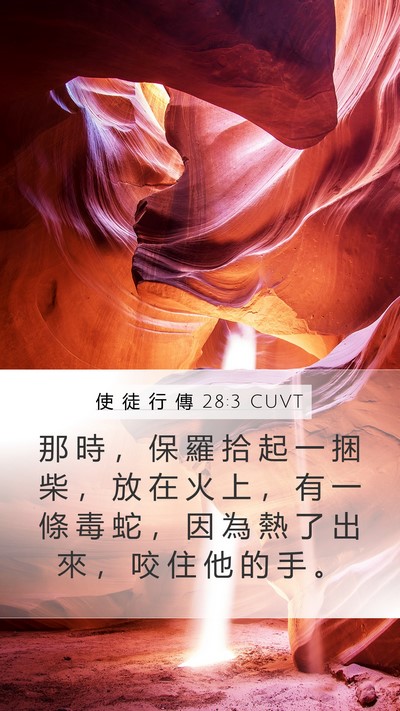 使 徒 行 傳 28:3 CUVT Mobile Phone Wallpaper - 那 時 ， 保 羅 拾 起 一 捆 柴 ， 放 - Mobile Bible Verse Wallpaper