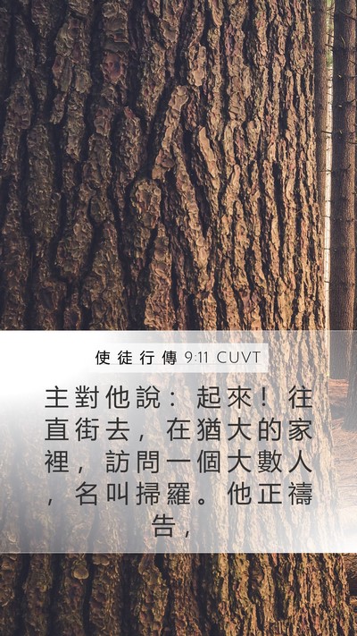 使 徒 行 傳 9:11 CUVT Bible Verse Image