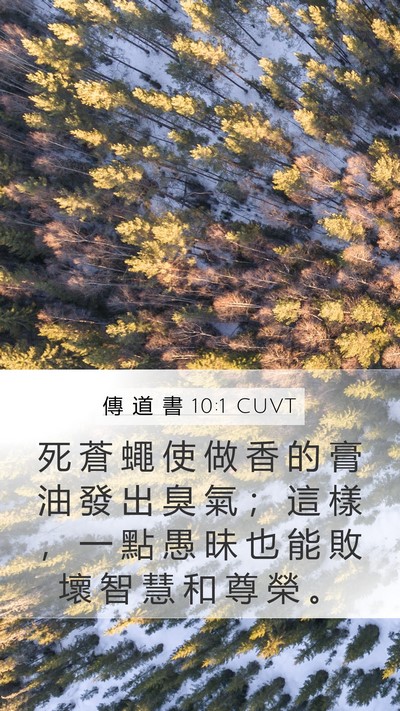 傳 道 書 10:1 CUVT Bible Verse Image