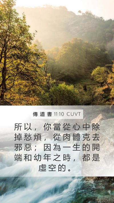 傳 道 書 11:10 CUVT Bible Verse Image