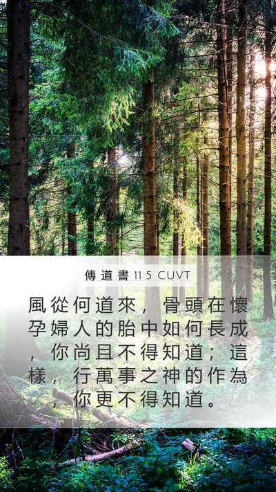 傳 道 書 11:5 CUVT Bible Verse Image