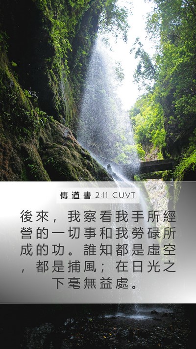 傳 道 書 2:11 CUVT Bible Verse Image
