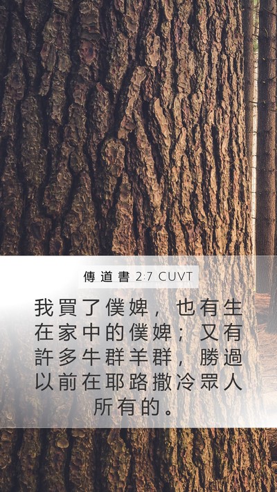 傳 道 書 2:7 CUVT Bible Verse Image