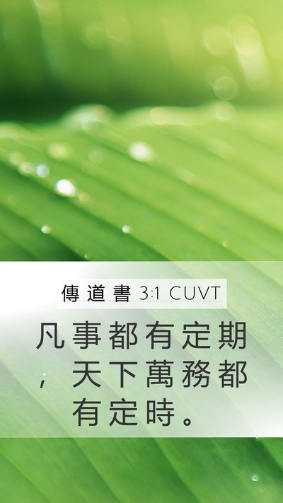 傳 道 書 3:1 CUVT Bible Verse Image
