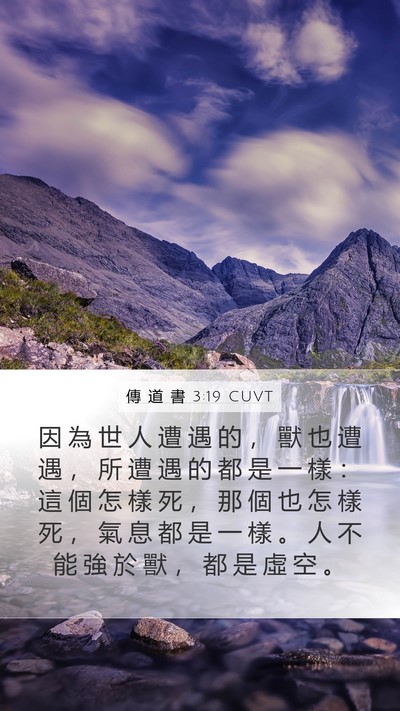 傳 道 書 3:19 CUVT Bible Verse Image