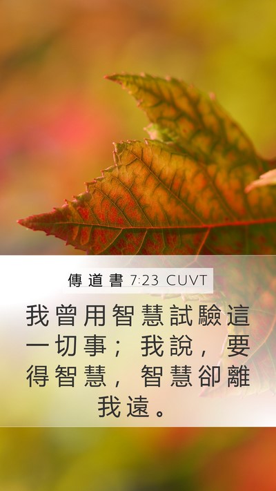 傳 道 書 7:23 CUVT Mobile Phone Wallpaper - 我 曾 用 智 慧 試 驗 這 一 切 事 ； - Mobile Bible Verse Wallpaper