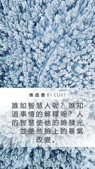 傳 道 書 8:1 CUVT Bible Verse Image