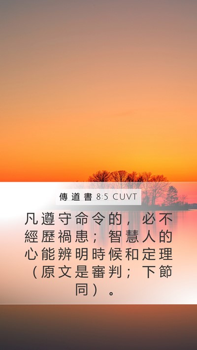 傳 道 書 8:5 CUVT Bible Verse Image