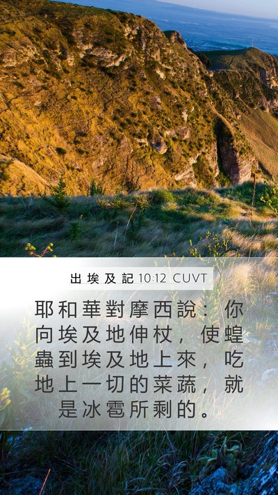 出 埃 及 記 10:12 CUVT Bible Verse Image