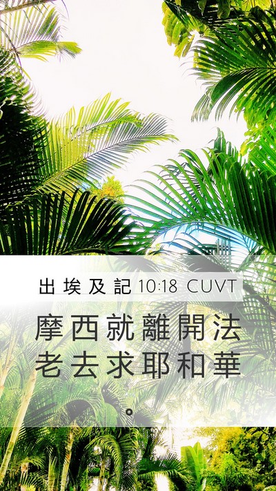 出 埃 及 記 10:18 CUVT Bible Verse Image