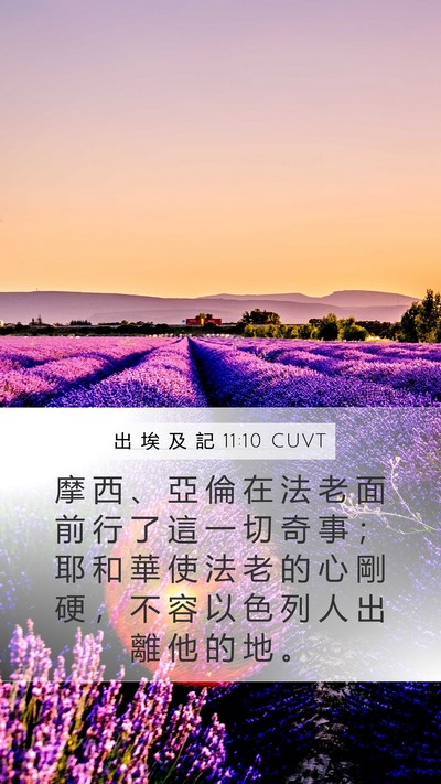 出 埃 及 記 11:10 CUVT Bible Verse Image