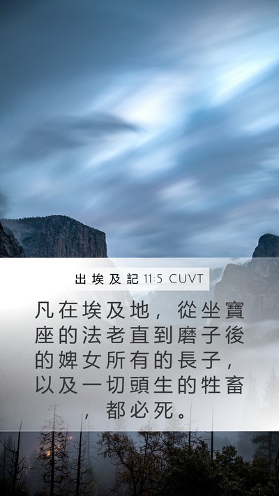 出 埃 及 記 11:5 CUVT Bible Verse Image