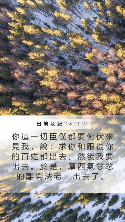 出 埃 及 記 11:8 CUVT Bible Verse Image