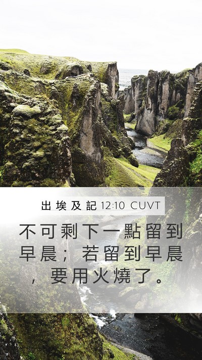 出 埃 及 記 12:10 CUVT Bible Verse Image