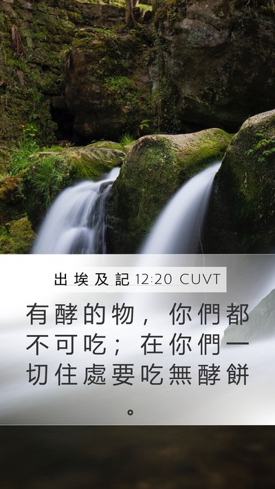 出 埃 及 記 12:20 CUVT Mobile Phone Wallpaper - 有 酵 的 物 ， 你 們 都 不 可 吃 ； - Mobile Bible Verse Wallpaper