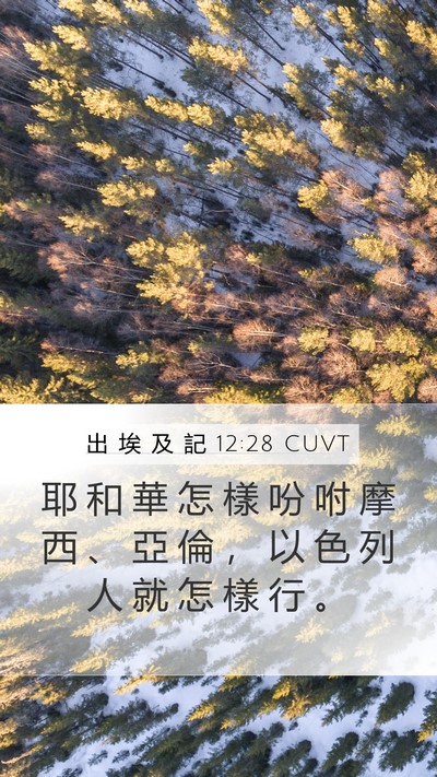 出 埃 及 記 12:28 CUVT Bible Verse Image