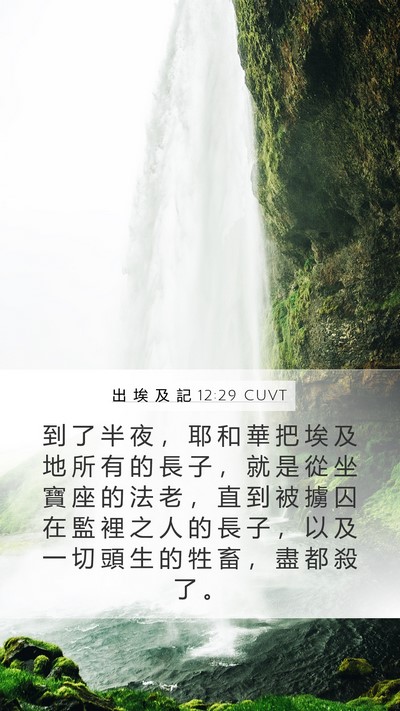 出 埃 及 記 12:29 CUVT Bible Verse Image