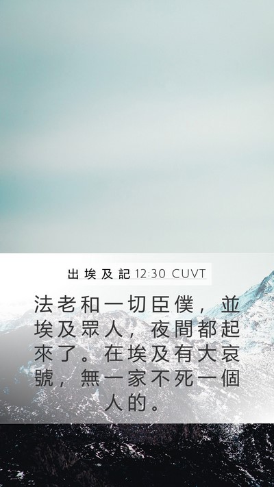出 埃 及 記 12:30 CUVT Bible Verse Image
