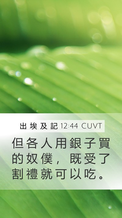 出 埃 及 記 12:44 CUVT Bible Verse Image